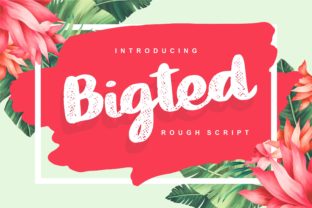 Bigted: A Cheerful Script Font for Web Design