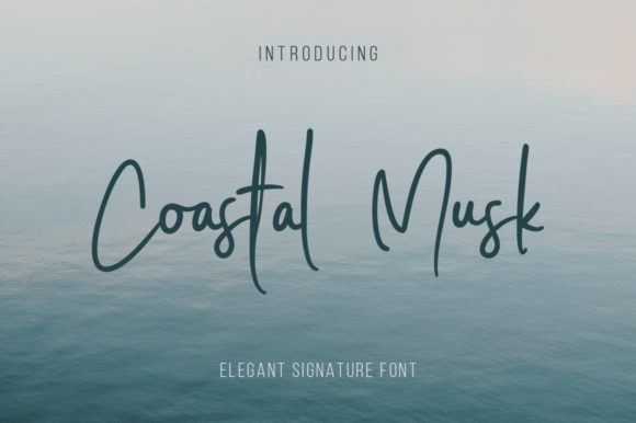Coastal Musk: A Font That Breathes