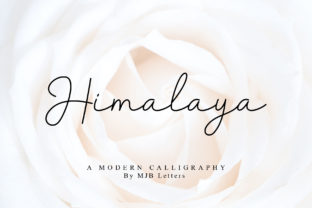 Himalaya: A Script Amp Review