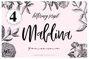 Maldina: A Script Amp for Creative Campaigns