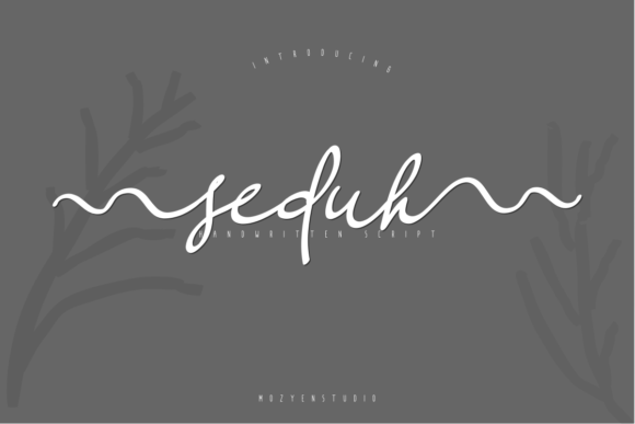 Seduh: A Stylish Script Font