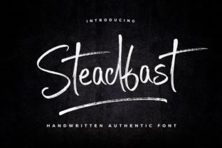 Steadfast: A Script Font for Real Projects