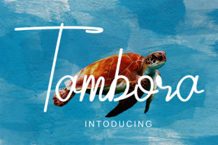 Tambora: A Script Font for Creative Makers